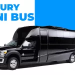 luxury mini bus Chicago Limo service airport transportation bus